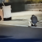 Viral Pencurian Reflektor di Jakarta Timur, Wibi: Memprihatinkan February 12, 2026 11:02 am Aksi pencurian rambu reflektor pembatas jalan atau mata kucing di Jakarta Timur viral di media sosial. Dalam video yang beredar, seorang pria bertopeng hitam mencongkel mata kucing di badan jalan menggunakan palu dan obeng. Informasinya, peristiwa terjadi pada Selasa (10/2/2026), sekitar pukul 01.00 WIB, saat jalan dalam kondisi sepi. Wakil Ketua DPRD DKI Jakarta Wibi Andrino menilai, aksi itu memprihatinkan. Sebab, menyangkut keselamatan pengguna jalan. Terutama pada malam hari. Wibi menyebut, DPRD akan mendorong Dinas Perhubungan dan Dinas Bina Marga segera mengecek titik yang kehilangan fasilitas serta melakukan penggantian. Wakil Ketua DPRD DKI Jakarta Wibi Andrino. (dok.DDJP) “Pengawasan diperkuat agar ada efek jera,” ujar Wibi, Rabu (11/2). Ia mengimbau masyarakat ikut menjaga fasilitas publik. “Itu dibangun dari uang rakyat dan untuk keselamatan bersama,” ucap dia. Kasus tersebut masih dalam penyelidikan kepolisian. Kapolsek Makasar Kompol Sumardi mengatakan, kemungkinan pelaku adalah pemulung. Dugaan itu mengacu pada rekaman video yang memperlihatkan gerobak di lokasi. “Diduga dia (pelaku) pemulung,” kata Sumardi. Polisi belum memastikan jumlah mata kucing yang hilang. Sebab, belum ada laporan resmi dari Pemprov DKI Jakarta. “Kami minta segera dibuat (laporan resmi-Red) untuk tindak lanjut,” tutur Sumardi. (red)