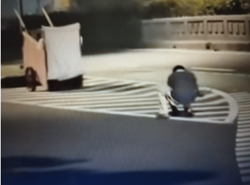 Viral Pencurian Reflektor di Jakarta Timur, Wibi: Memprihatinkan February 12, 2026 11:02 am Aksi pencurian rambu reflektor pembatas jalan atau mata kucing di Jakarta Timur viral di media sosial. Dalam video yang beredar, seorang pria bertopeng hitam mencongkel mata kucing di badan jalan menggunakan palu dan obeng. Informasinya, peristiwa terjadi pada Selasa (10/2/2026), sekitar pukul 01.00 WIB, saat jalan dalam kondisi sepi. Wakil Ketua DPRD DKI Jakarta Wibi Andrino menilai, aksi itu memprihatinkan. Sebab, menyangkut keselamatan pengguna jalan. Terutama pada malam hari. Wibi menyebut, DPRD akan mendorong Dinas Perhubungan dan Dinas Bina Marga segera mengecek titik yang kehilangan fasilitas serta melakukan penggantian. Wakil Ketua DPRD DKI Jakarta Wibi Andrino. (dok.DDJP) “Pengawasan diperkuat agar ada efek jera,” ujar Wibi, Rabu (11/2). Ia mengimbau masyarakat ikut menjaga fasilitas publik. “Itu dibangun dari uang rakyat dan untuk keselamatan bersama,” ucap dia. Kasus tersebut masih dalam penyelidikan kepolisian. Kapolsek Makasar Kompol Sumardi mengatakan, kemungkinan pelaku adalah pemulung. Dugaan itu mengacu pada rekaman video yang memperlihatkan gerobak di lokasi. “Diduga dia (pelaku) pemulung,” kata Sumardi. Polisi belum memastikan jumlah mata kucing yang hilang. Sebab, belum ada laporan resmi dari Pemprov DKI Jakarta. “Kami minta segera dibuat (laporan resmi-Red) untuk tindak lanjut,” tutur Sumardi. (red)